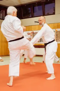 Erwachsene trainieren Kampfsport in einem Dojo der Turngemeinde Landshut, während sie Karate-Techniken üben.